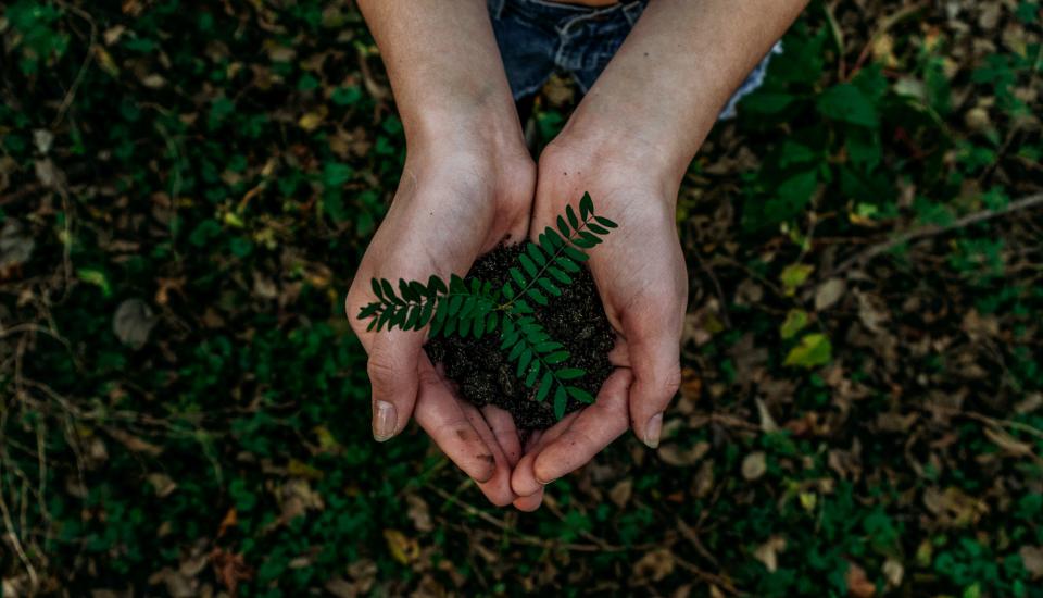 Une nouvelle « masterclass in sustainable finance » en partenariat avec Solvay Business School et l'UNAMUR !